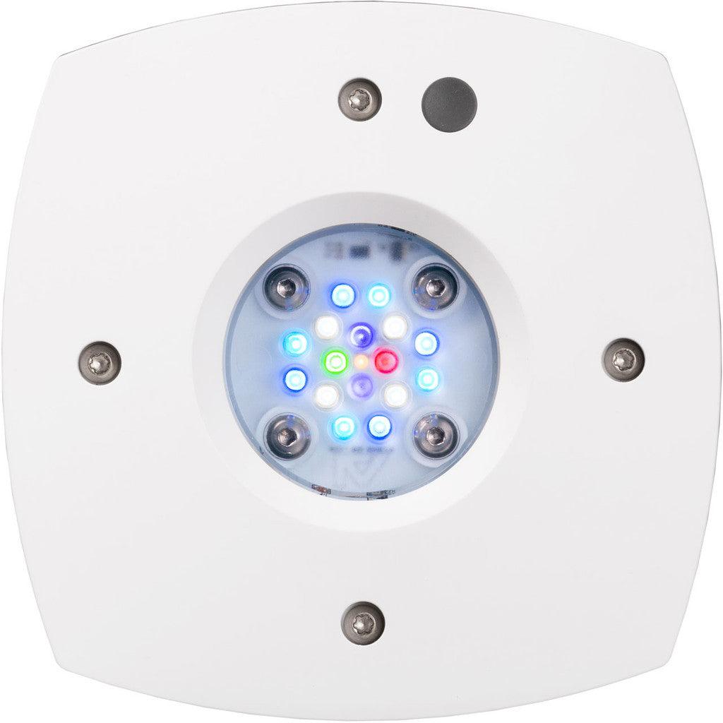 AI Hydra Prime 16 HD LED Module - White Body - Ruby Mountain Aquarium supply