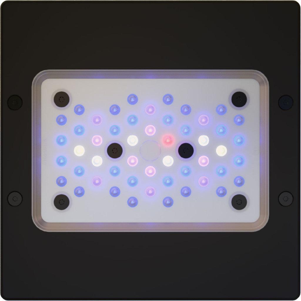EcoTech Marine Radion G6 XR15 Blue LED Light - XR15G6BLUE-US - Ruby Mountain Aquarium supply