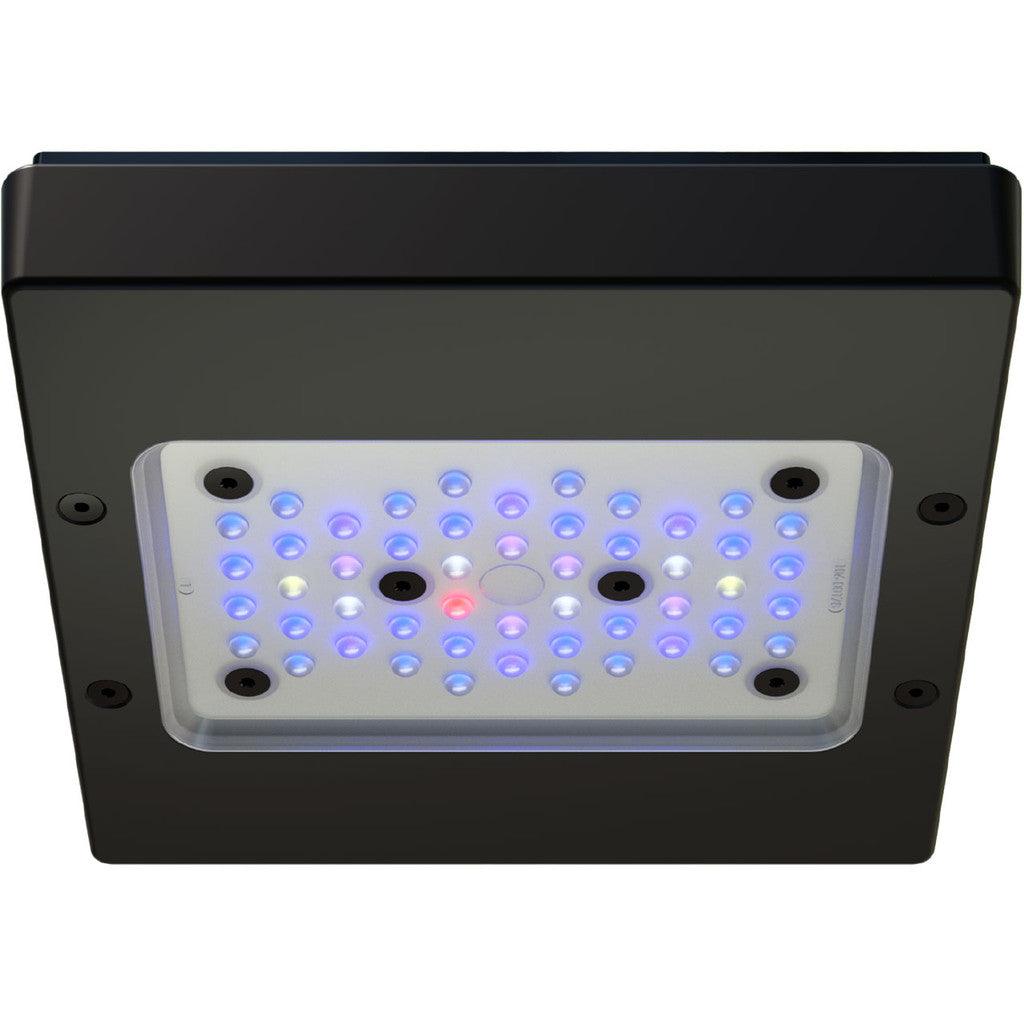EcoTech Marine Radion G6 XR15 Blue LED Light - XR15G6BLUE-US - Ruby Mountain Aquarium supply