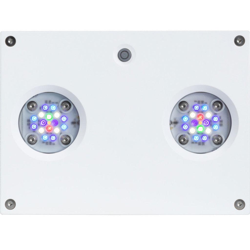 AI Hydra 32 HD LED Module - White Body - Ruby Mountain Aquarium supply