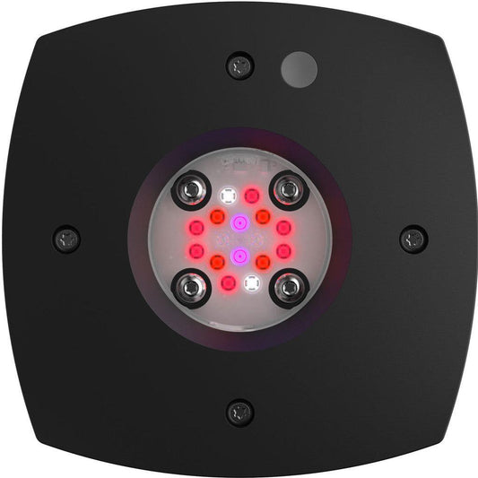 AI Hydra Prime 16 HD Fuge LED Module - Black Body - Ruby Mountain Aquarium supply