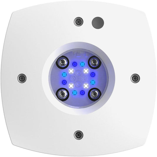 AI Hydra Prime 16 HD Sol LED Module - White Body - Ruby Mountain Aquarium supply