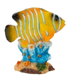 Assorted Deco GLow-Fish - Ruby Mountain Aquarium supply