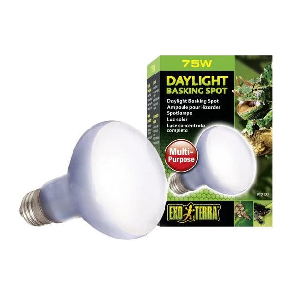 Exo Terra Daylight Basking Spot Lamp - Ruby Mountain Aquarium supply