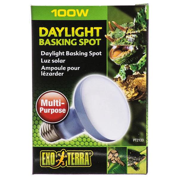 Exo Terra Daylight Basking Spot Lamp - Ruby Mountain Aquarium supply