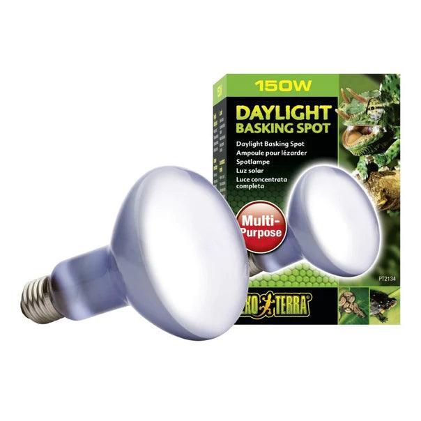 Exo Terra Daylight Basking Spot Lamp - Ruby Mountain Aquarium supply