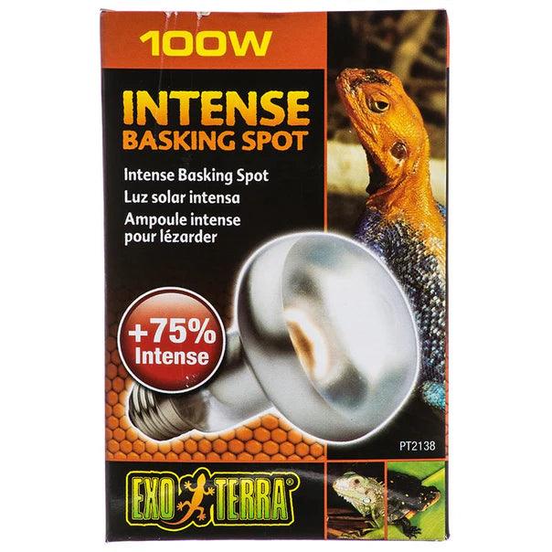 Exo Terra Intense Basking Spot Lamp - Ruby Mountain Aquarium supply