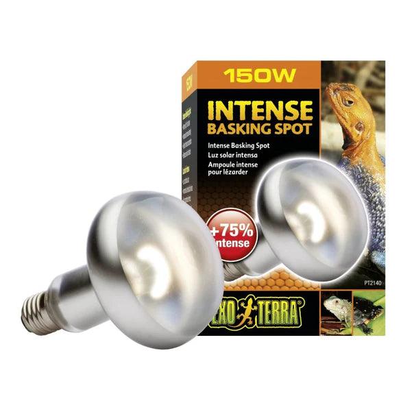 Exo Terra Intense Basking Spot Lamp - Ruby Mountain Aquarium supply