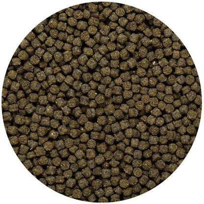 Hikari Cichlid Excel Mini Pellet - Ruby Mountain Aquarium supply