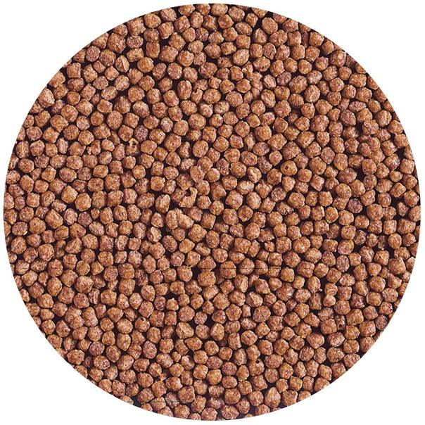 Hikari Cichlid Gold Floating Baby Pellet Food - Ruby Mountain Aquarium supply