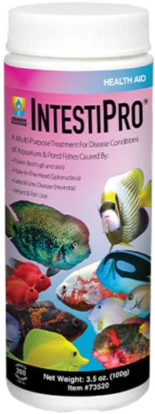 Hikari IntestiPro Powdered Intestinal Worm Treatment - Ruby Mountain Aquarium supply