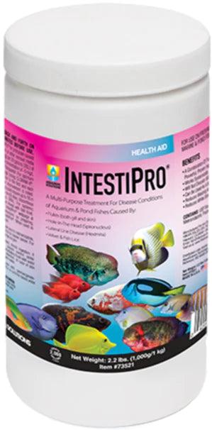 Hikari IntestiPro Powdered Intestinal Worm Treatment - Ruby Mountain Aquarium supply