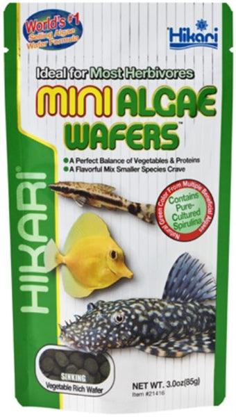 Hikari Mini Algae Wafers - Ruby Mountain Aquarium supply