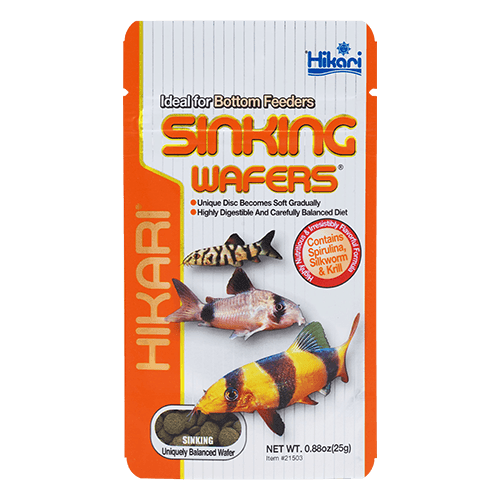 Hikari Sinking Wafers - Ruby Mountain Aquarium supply