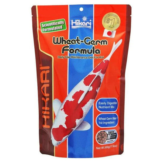 Hikari Wheat Germ Floating Medium Pellet Koi Food - Ruby Mountain Aquarium supply