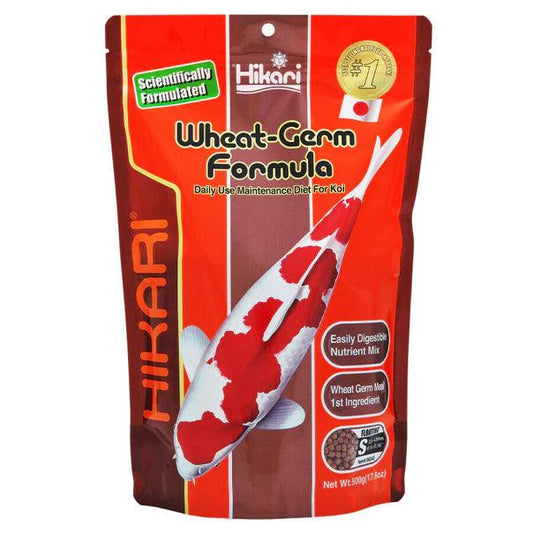 Hikari Wheat Germ Floating Mini Pellet Food - Ruby Mountain Aquarium supply