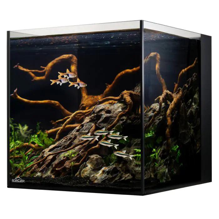 IceCap 10 Gallon Cube AIO Rimless Glass Aquarium - Ruby Mountain Aquarium supply