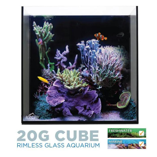 IceCap 20 Gallon Cube AIO Rimless Glass Aquarium - Ruby Mountain Aquarium supply