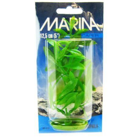 Marina Hygrophila Plant - Ruby Mountain Aquarium supply