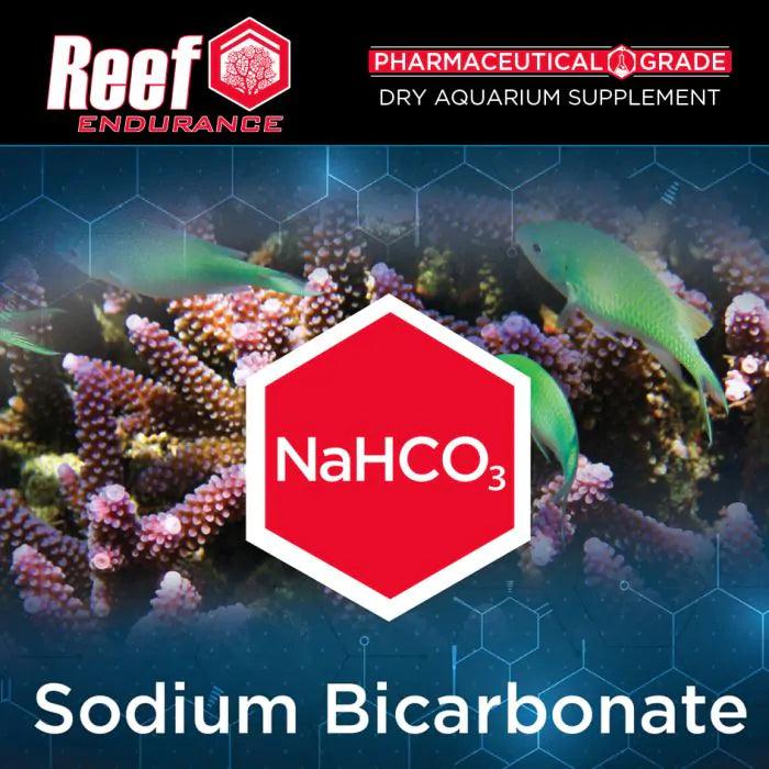 Reef Endurance Bulk Sodium Bicarbonate - Ruby Mountain Aquarium supply