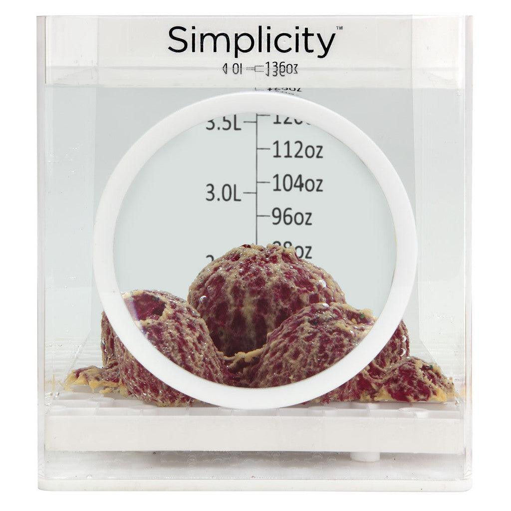Simplicity 4L Coral Dipping Container - Ruby Mountain Aquarium supply