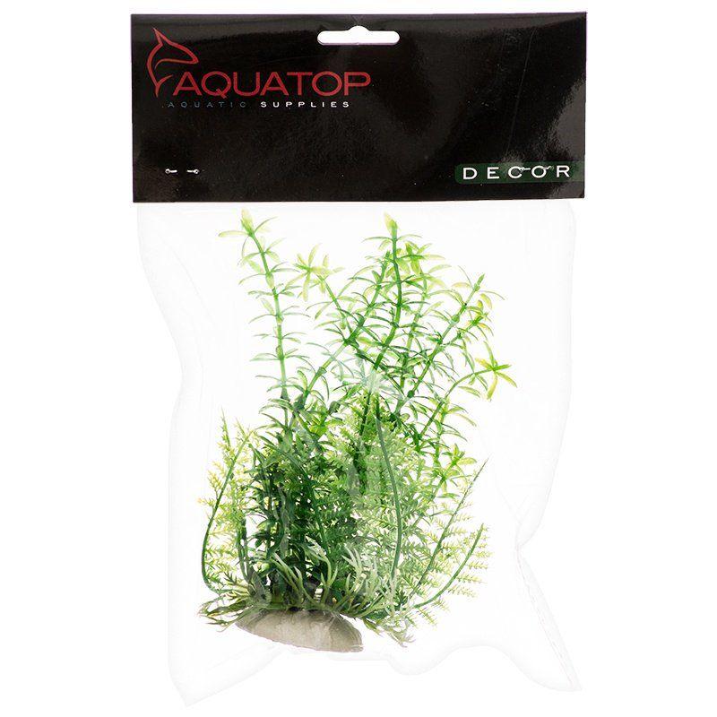 Aquatop Anacharis Aquarium Plant - Green - Ruby Mountain Aquarium supply