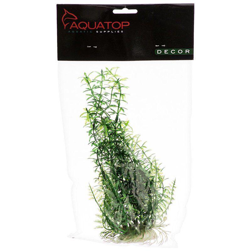 Aquatop Anacharis Aquarium Plant - Green - Ruby Mountain Aquarium supply