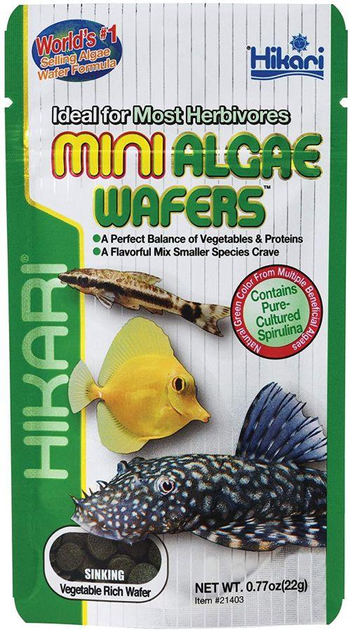 Hikari Mini Algae Wafers - Ruby Mountain Aquarium supply