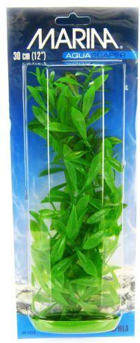 Marina Hygrophila Plant - Ruby Mountain Aquarium supply