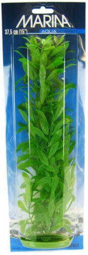 Marina Hygrophila Plant - Ruby Mountain Aquarium supply